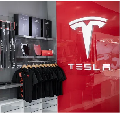 Tesla Mobile Service